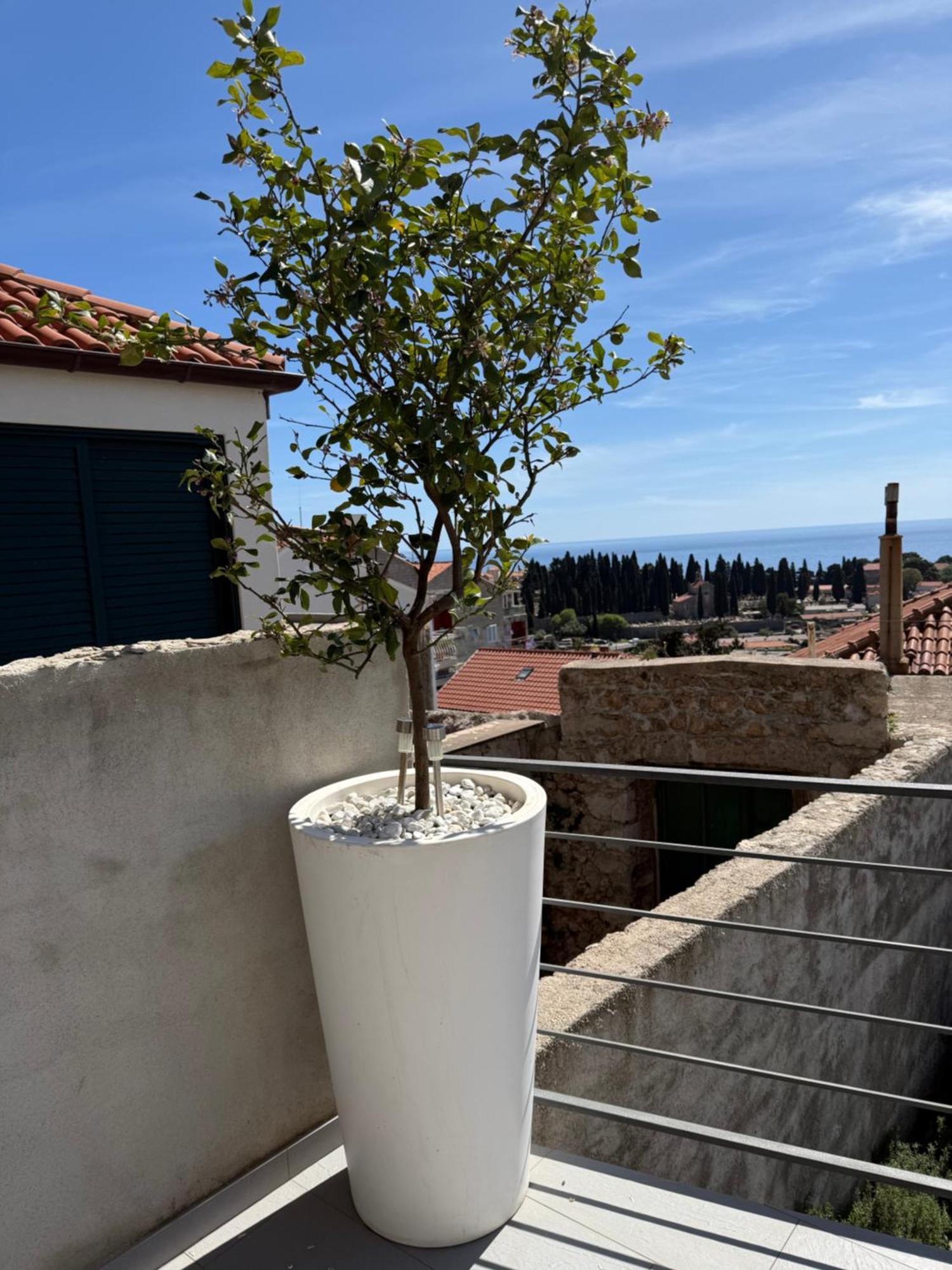 Lemon Tree Dubrovnik Apartments ภายนอก รูปภาพ